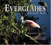 Everglades National Park Impressions - Tom Stack