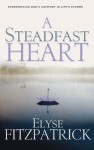 Steadfast Heart: Experiencing God's Comfort in Life's Storms - Elyse M. Fitzpatrick