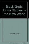 Black Gods: Orisa Studies in the New World - Gary Edwards, John Mason