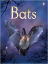 Bats - Megan Cullis, Sue King, Connie McLennan, Helen Edmonds, Sam Chandler