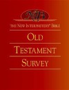 New Interpreter's Bible Old Testament Survey - Abingdon Press, Walter Brueggemann, Walter C. Kaiser