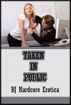 Taken in Public: Five Rough Public Sex Erotica Stories - Sheena Stone, Jael Long, Paige Jamey, Brooke Weldon, Allysin Range