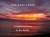 THE BABY CHASE: A Confessional Novel - Ben Mattlin