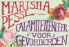 Calamiteitenleer voor gevorderden (Dwarsligger) - Marisha Pessl, Otto Biersma, Paul Bruijn