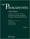 The Prokaryotes: Vol. 7: Proteobacteria: Delta and Epsilon Subclasses. Deeply Rooting Bacteria - Martin Dworkin