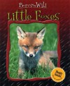 Little Foxes - Ariane Chottin