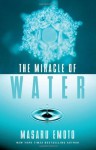 The Miracle of Water - Masaru Emoto