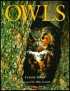 Owls - Connie Toops