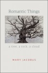 Romantic Things: A Tree, a Rock, a Cloud - Mary Jacobus