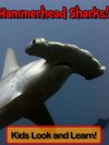 Hammerhead Sharks! Learn About Hammerhead Sharks and Enjoy Colorful Pictures - Look and Learn! (50+ Photos of Hammerhead Sharks) - Becky Wolff