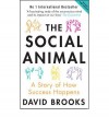 The Social Animal: A Story of How Success Happens - David Brooks