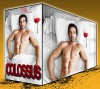 COLOSSUS: 101 Wickedly Hot Erotic Short Stories For Women - Rebecca Milton, Odette Haynes, Kimberly Bray, Jean Mathis, Lois Hodges, Phyllis Copeland, Janet Bryant, Evelyn Hunt, Kim Wilkerson, Emma Bishop