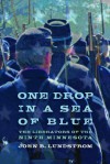 One Drop in a Sea of Blue: The Liberators of the Ninth Minnesota - John B. Lundstrom