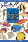 Marine Fishes Of Tropical Australia And South East Asia - Gerald R. Allen