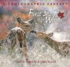 First Snow in the Woods: A Photographic Fantasy - Carl R. Sams II, Jean Stoick