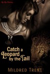 Catch a Leopard by the Tail - Mildred Trent