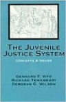 The Juvenile Justice System: Concepts and Issues - Deborah G. Wilson, Richard Tewksbury