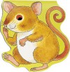 Pocket Mouse (Pocket Pals) - M. Twinn