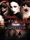 Shades of a Shifter: (Alpha Assassins Guild: Part 1) A Werebear Shifter Paranormal Romance - Juniper Leigh