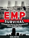 EMP Survival: 10 Dangerous Places You Should Avoid When An EMP Starts (EMP Survival, EMP Survival books, EMP Survival fiction) - Noel Meyer