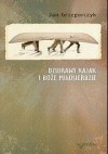 Dziurawy kajak i Boże Miłosierdzie - Jan Grzegorczyk