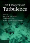 Ten Chapters in Turbulence - Peter A. Davidson, Yukio Kaneda, Katepalli R. Sreenivasan