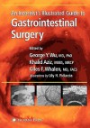 An Internist S Illustrated Guide to Gastrointestinal Surgery - George Y. Wu