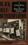 Black Self-Determination: A Cultural History of African-American Resistance - V.P. Franklin