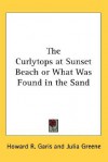 The Curlytops at Sunset Beach or What Was Found in the Sand - Howard R. Garis