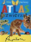 Mój pierwszy atlas zwierząt - Małgorzata Krzyżanek