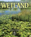 Wetland - Sheila Rivera