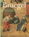 Bruegel. Zbliżenia - Manfred Sellink, Bożena Mierzejewska