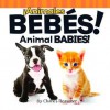 Animales Bebes!/Animal Babies! (Board Book) - Charles Reasoner