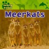 Meerkats - Justine Ciovacco