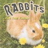 Rabbits On The Farm (Farm Animals: On The Farm) - Kyla Steinkraus