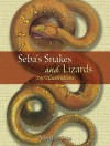 Seba's Snakes and Lizards: 240 Illustrations - Albertus Seba