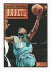 The Story of the New Orleans Hornets - Sara Gilbert