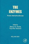 The Enzymes Volume 24 Protein Methyltransferases - Steven Clarke, Fuyuhiko Tamanoi