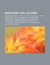 Biologie Cellulaire: Ad Nosine Triphosphate, Cytom Trie En Flux, Th Orie Endosymbiotique, Hom Ostasie, Catabolisme, Anabolisme, Transcripto - Source Wikipedia