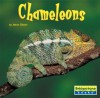 Chameleons - Jason Glaser