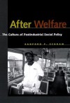 After Welfare: The Culture of Postindustrial Social Policy - Sanford Schram