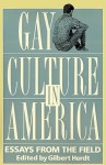 Gay Culture in America: Essays from the Field - Gilbert H. Herdt