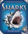 Sharks: With Angel Finn, Shark Expert - Stephen E. Stone