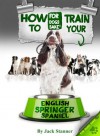 How to Train Your English Springer Spaniel - Jack Stanner