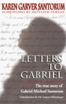 Letters to Gabriel: The True Story of Gabriel Michael Santorum - Karen Garver Santorum