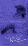 Sturz der Tage in die Nacht - Antje Rávic Strubel