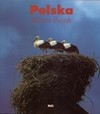 Polska - Adam Bujak