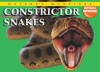 Constrictor Snakes - Per Christiansen