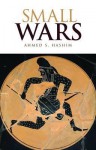 Small Wars: An Interpretive Analysis of Theory and Practice - Ahmed Hashim