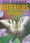 Butterflies And Moths - Nic Bishop